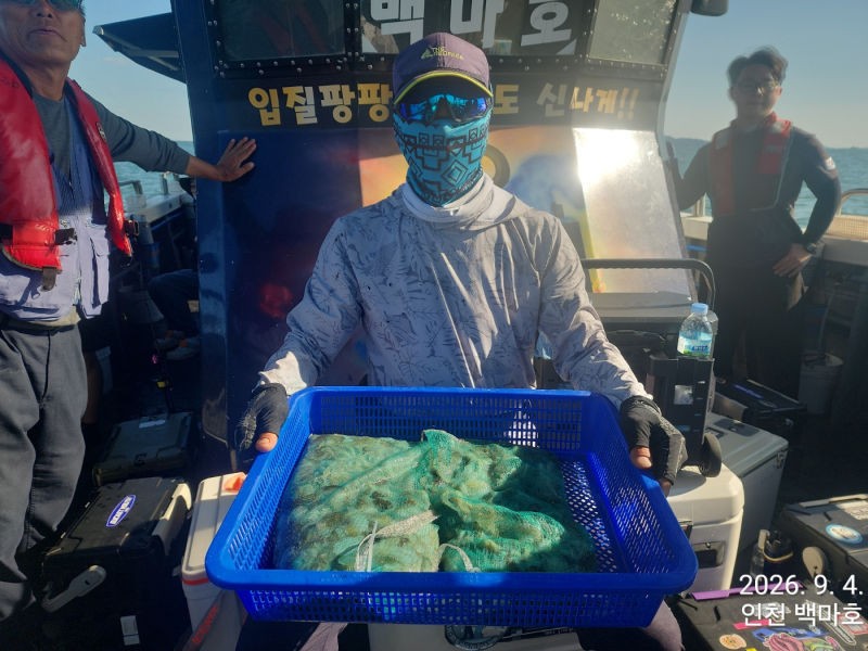 9월 4일 인천 갑오징어 선상낚시 조황 현장 사진 8