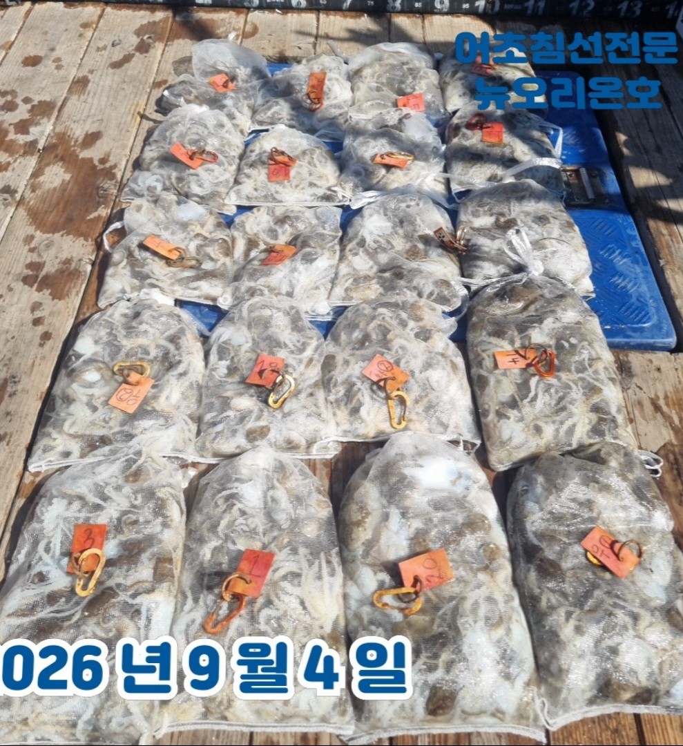9월 4일 군산 주꾸미 선상낚시 조황 현장 사진 4