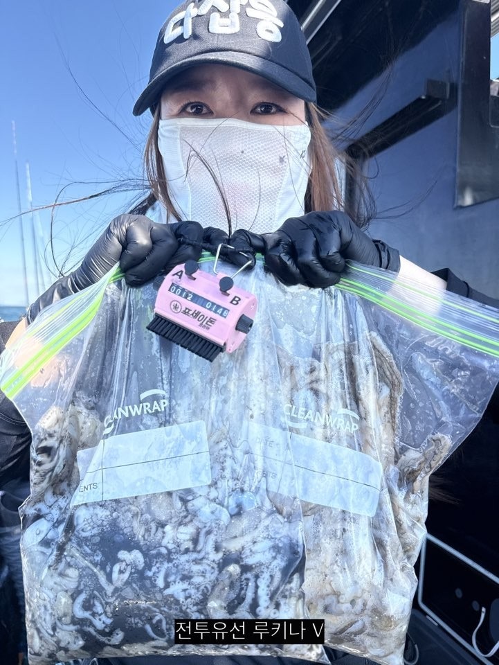 사용자가 올린 이미지
