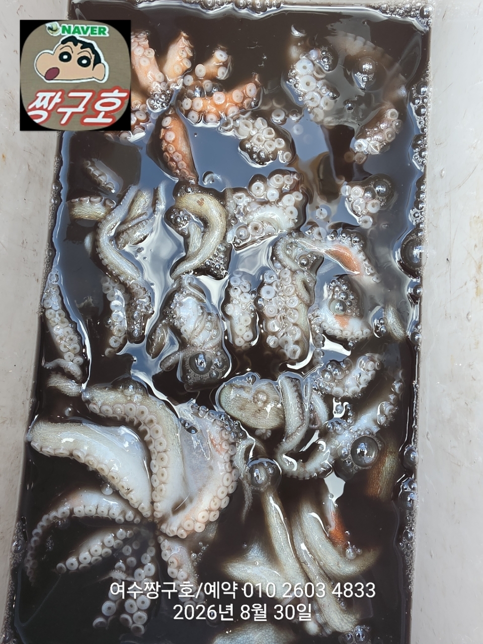 9월 7일 여수 문어 선상낚시 조황 현장 사진 17
