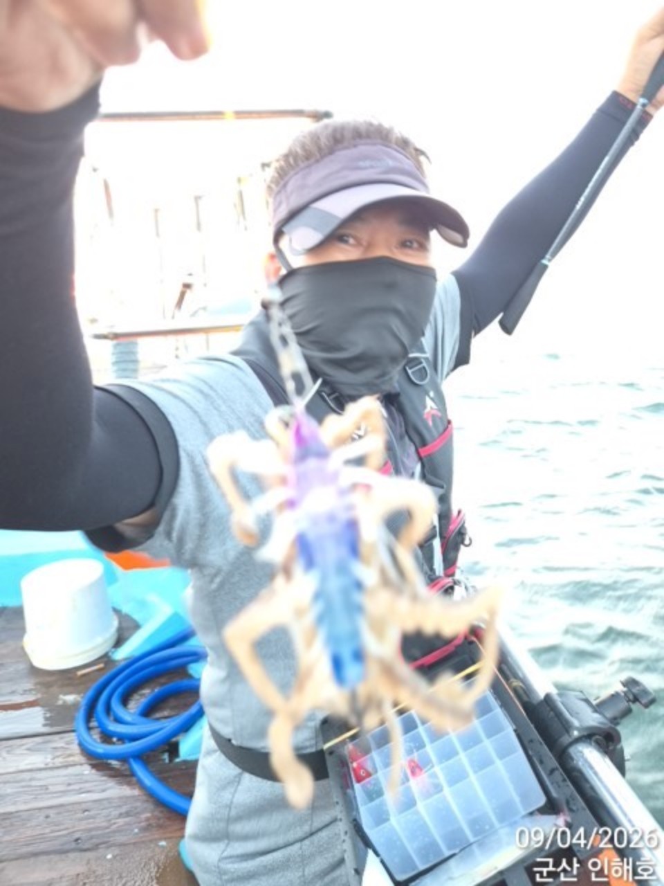 9월 4일 군산 갑오징어 선상낚시 조황 현장 사진 21