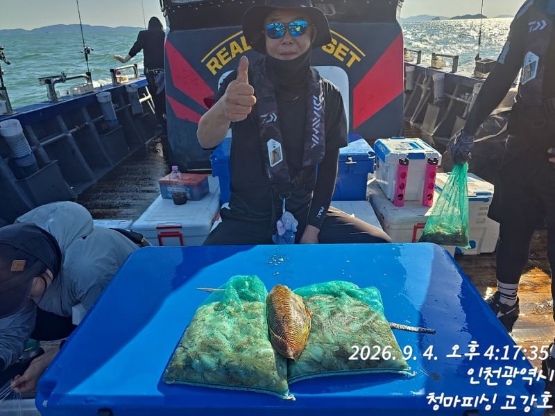 9월 4일 인천 갑오징어 선상낚시 조황 현장 사진 41