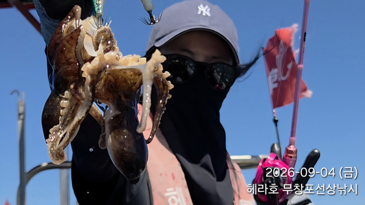 9월 4일 주꾸미 선상낚시 조황 현장 사진 5