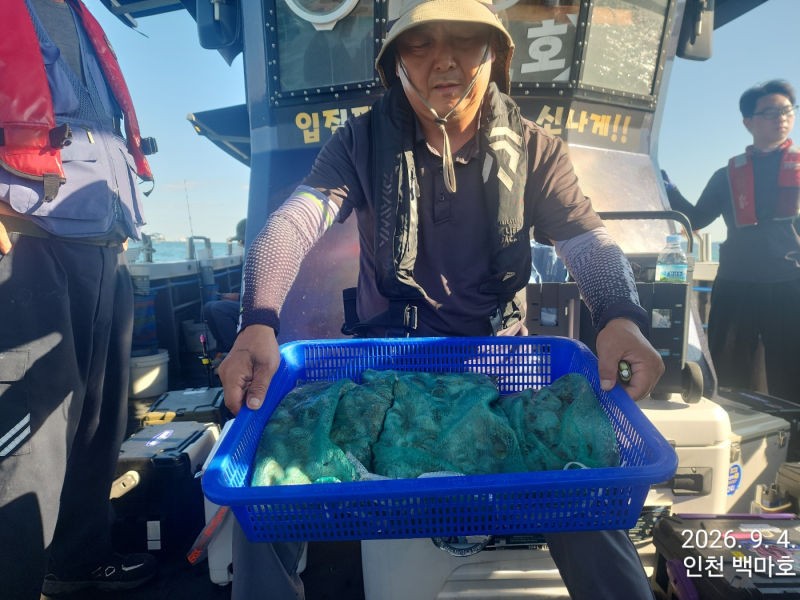 9월 4일 인천 갑오징어 선상낚시 조황 현장 사진 9
