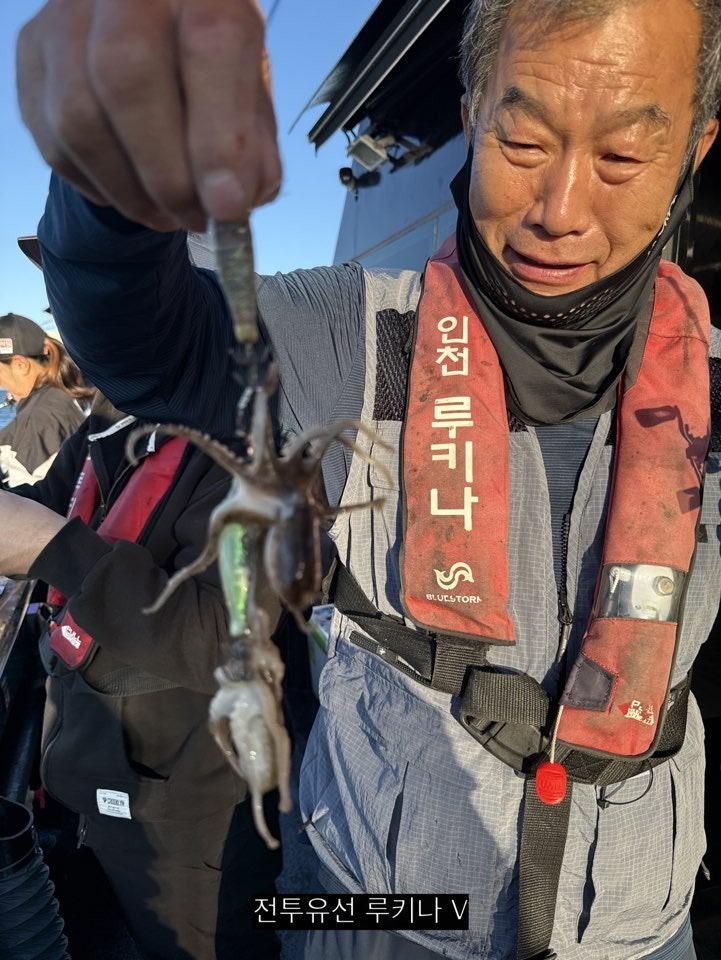 사용자가 올린 이미지