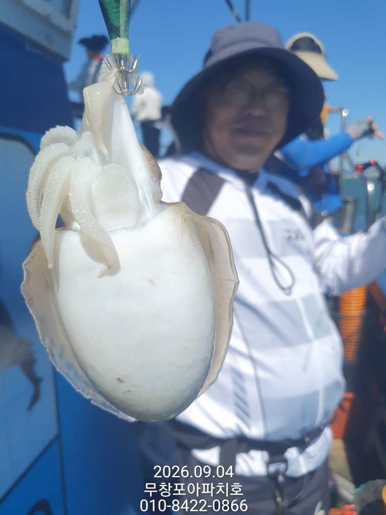 9월 4일 포항 주꾸미 선상낚시 조황 현장 사진 14