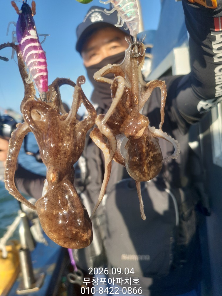 9월 4일 포항 주꾸미 선상낚시 조황 현장 사진 12