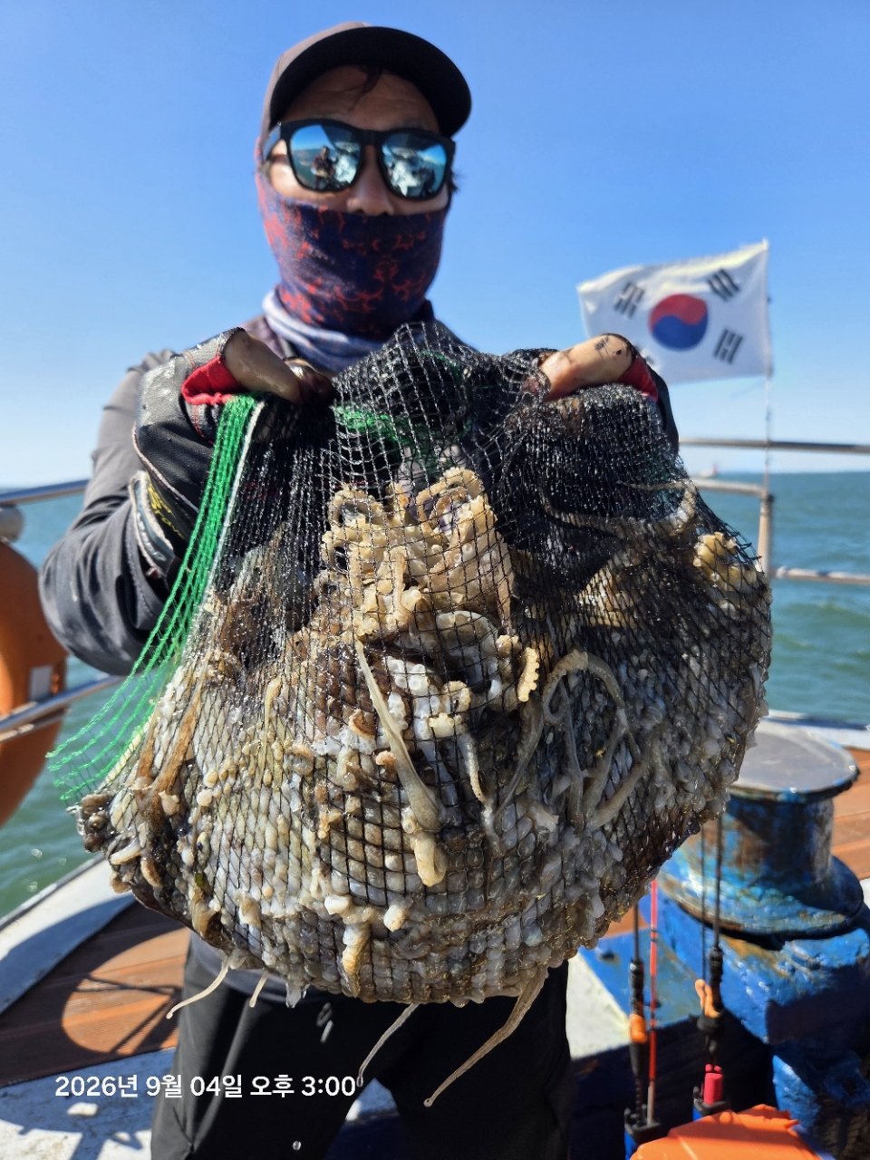 9월 4일 서천 갑오징어 선상낚시 조황 현장 사진 2