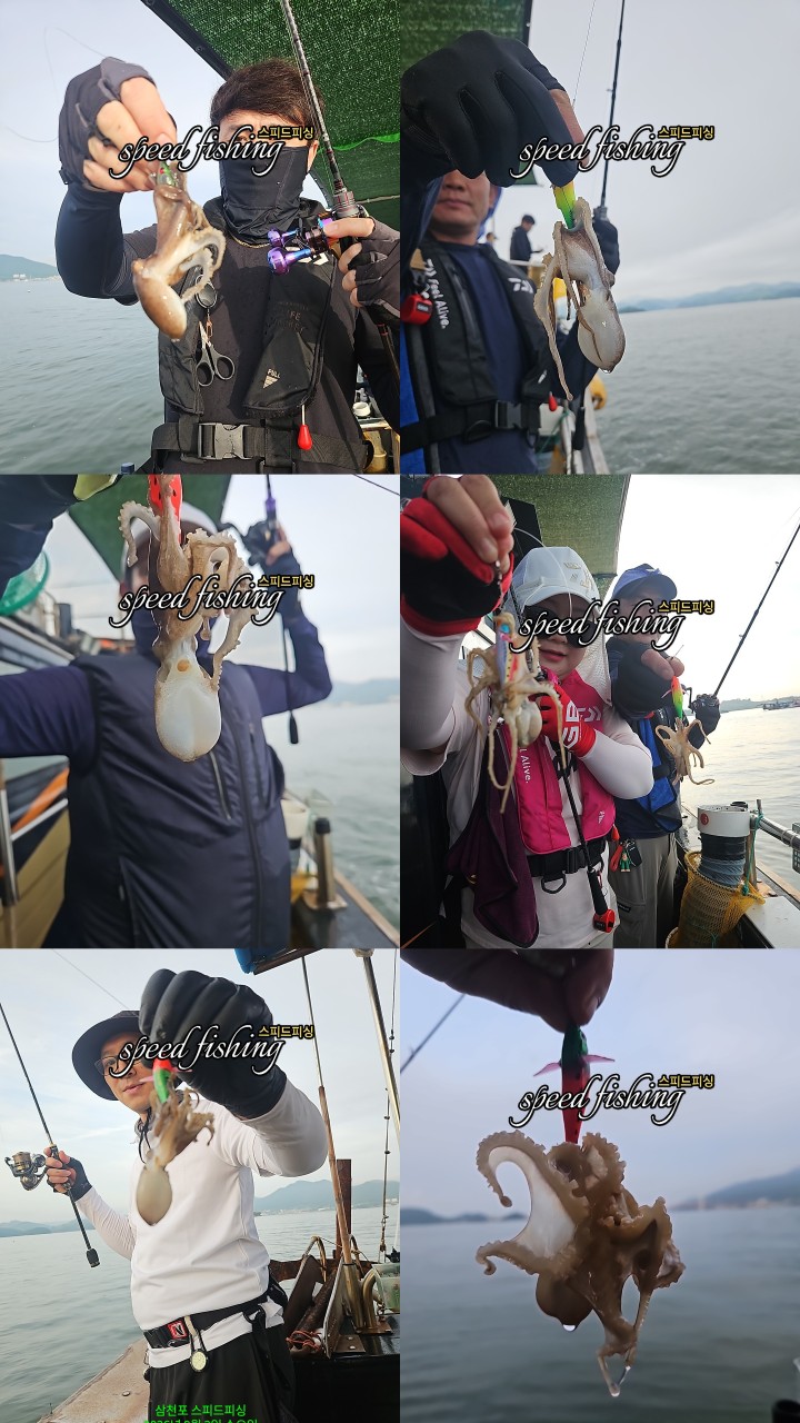 9월 4일 삼천포 갑오징어 선상낚시 조황 현장 사진 5
