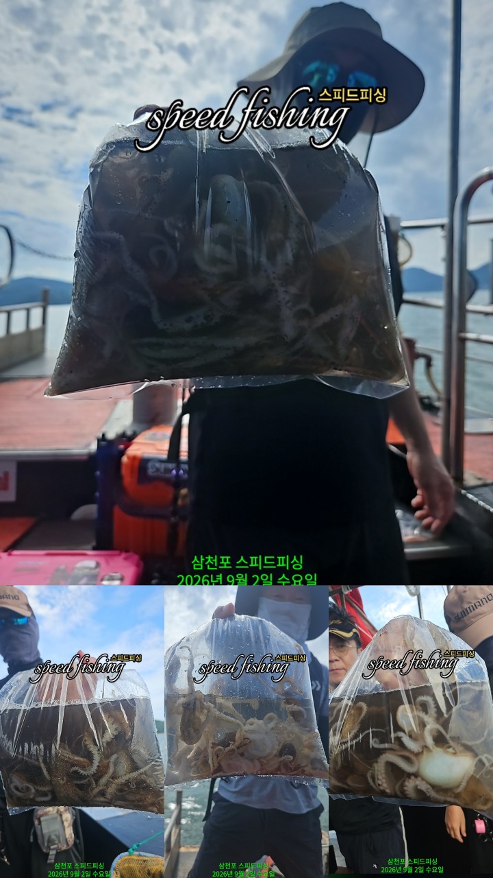 9월 4일 삼천포 갑오징어 선상낚시 조황 현장 사진 3