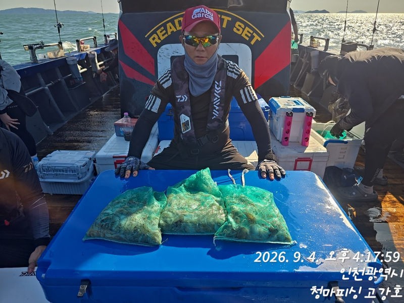 9월 4일 인천 갑오징어 선상낚시 조황 현장 사진 40