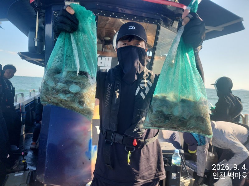 9월 4일 인천 갑오징어 선상낚시 조황 현장 사진 6