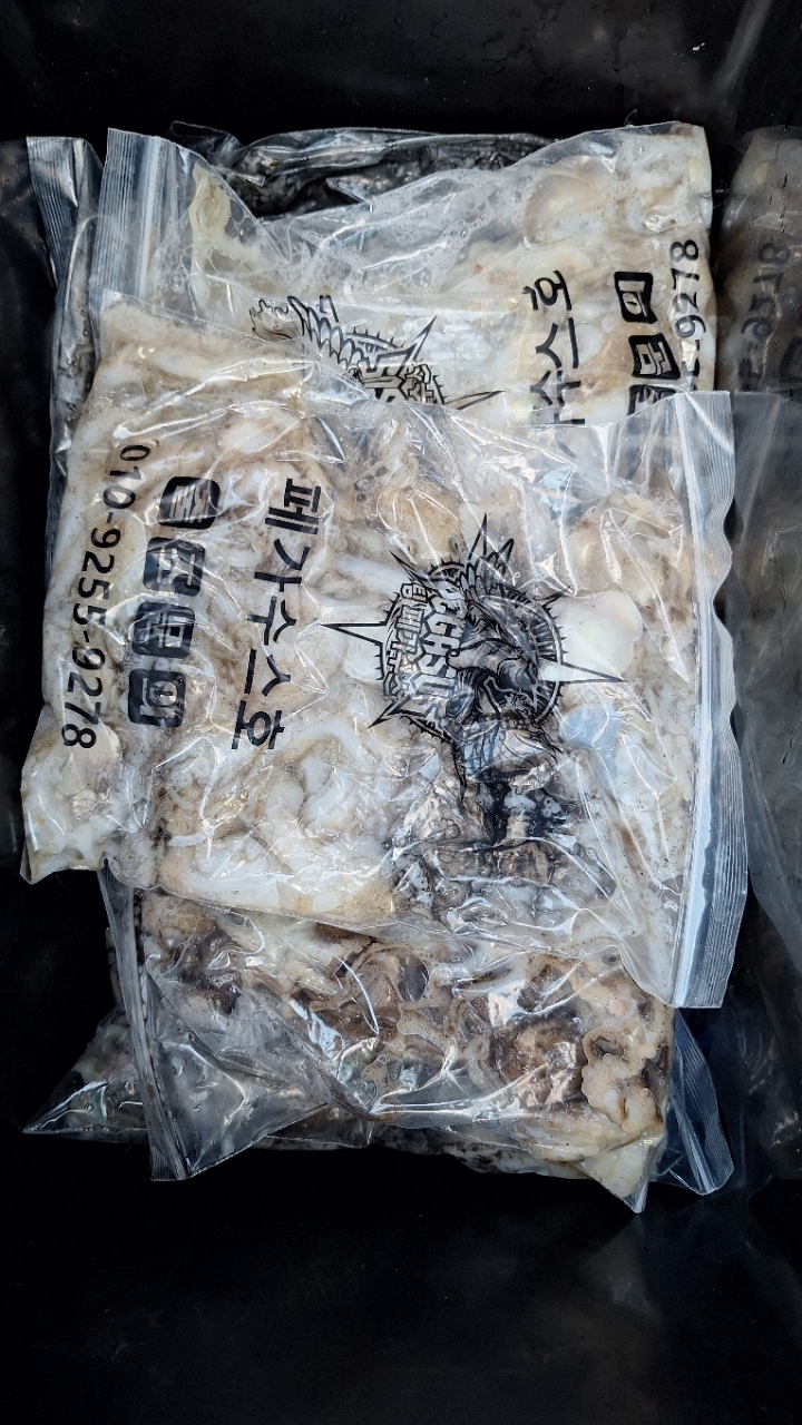 9월 5일 갑오징어 선상낚시 조황 현장 사진 4