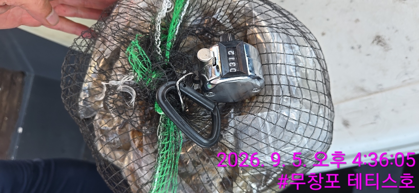 9월 5일 주꾸미 선상낚시 조황 현장 사진 5