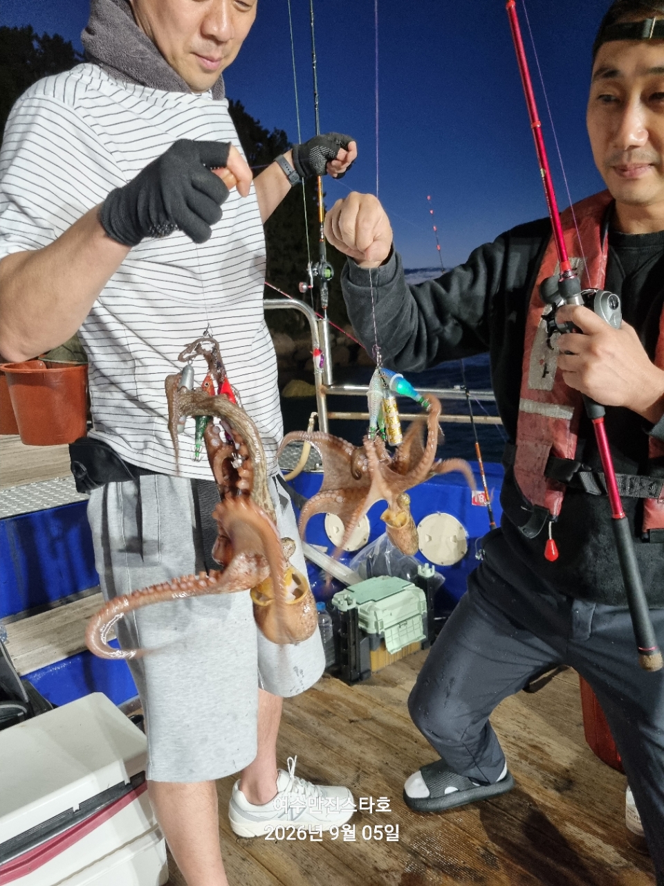 9월 5일 여수 문어 선상낚시 조황 현장 사진 30
