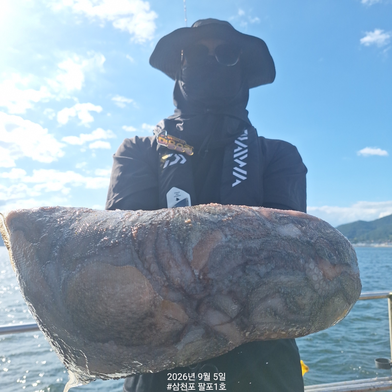 9월 5일 삼천포 문어 선상낚시 조황 현장 사진 3