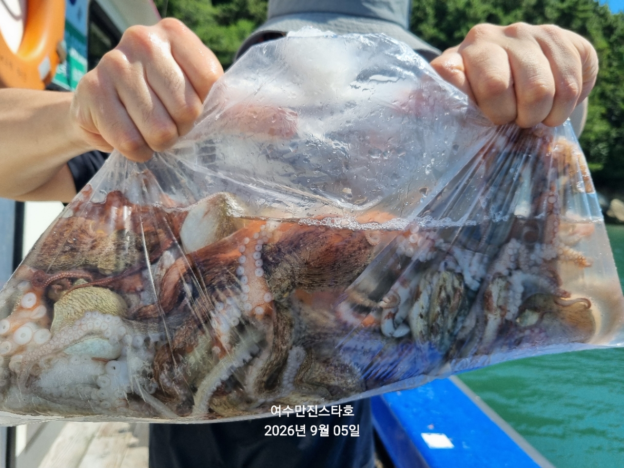 9월 5일 여수 문어 선상낚시 조황 현장 사진 6