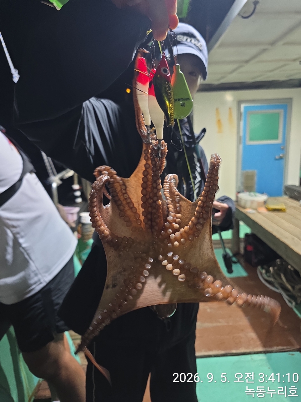 9월 5일 문어 선상낚시 조황 현장 사진 8