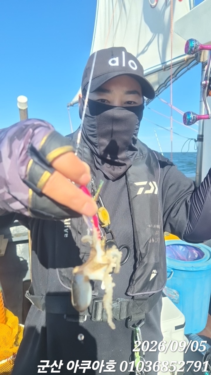 9월 5일 군산 갑오징어 선상낚시 조황 현장 사진 3