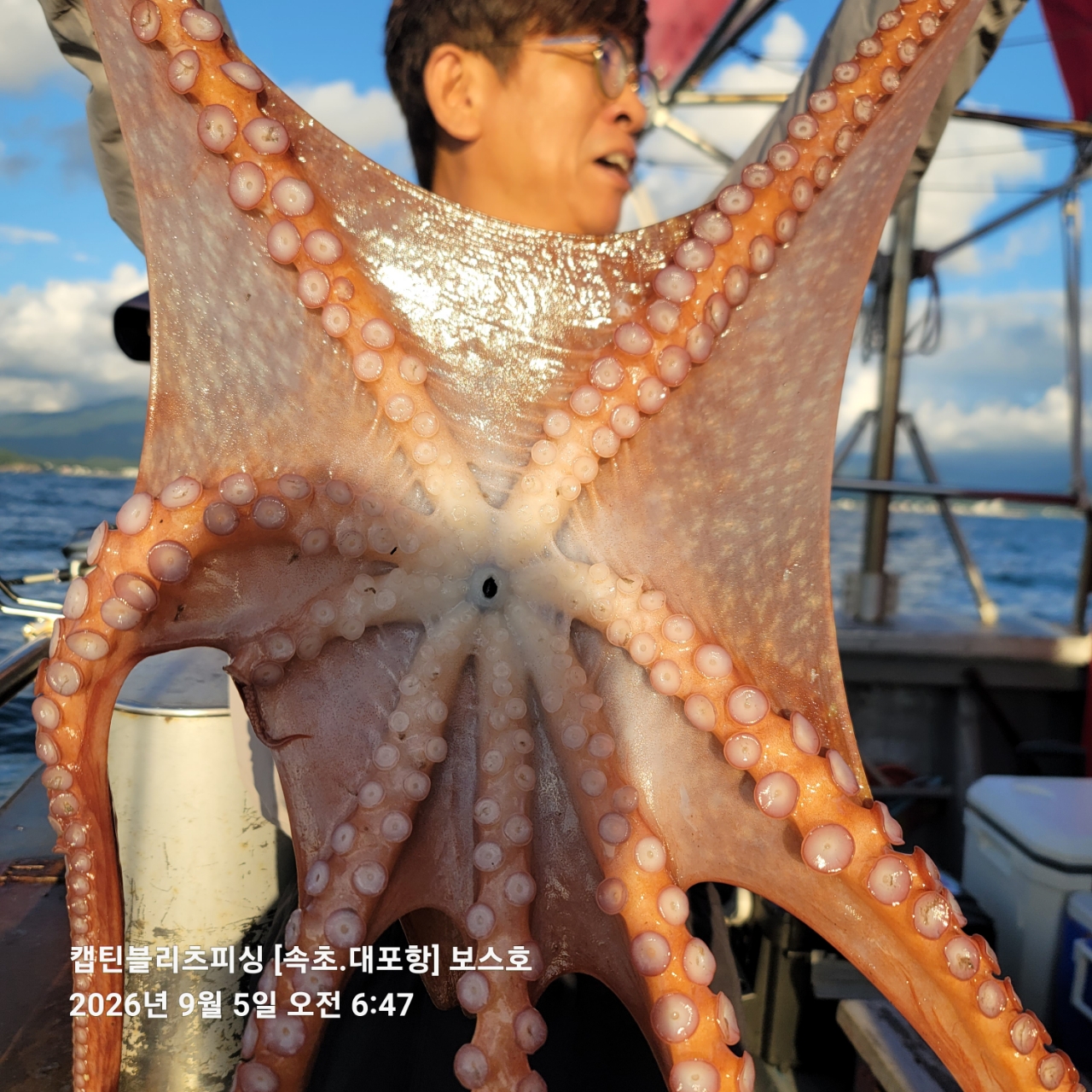 9월 5일 포항 문어 선상낚시 조황 현장 사진 3