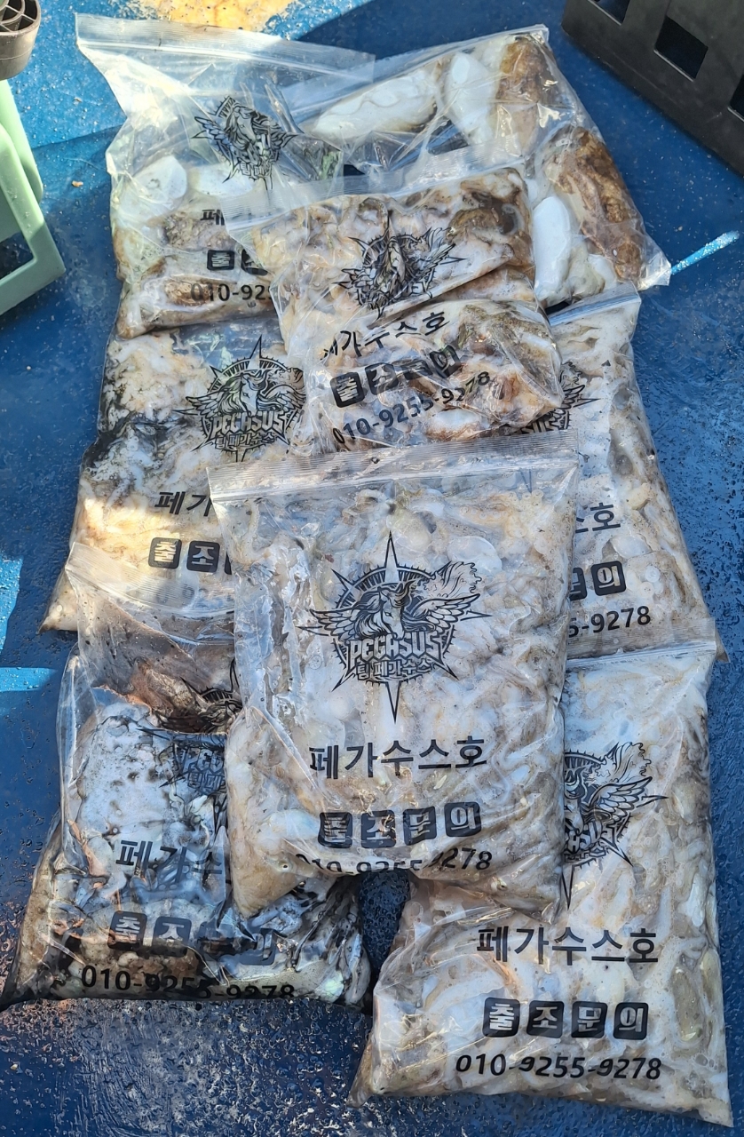 9월 5일 갑오징어 선상낚시 조황 현장 사진 25