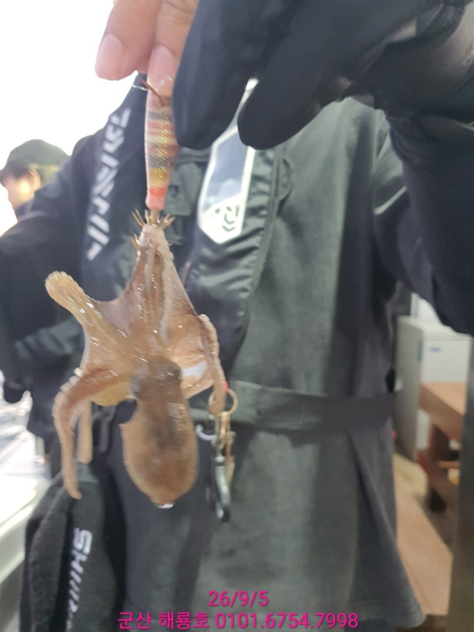 9월 5일 군산 주꾸미 선상낚시 조황 현장 사진 8