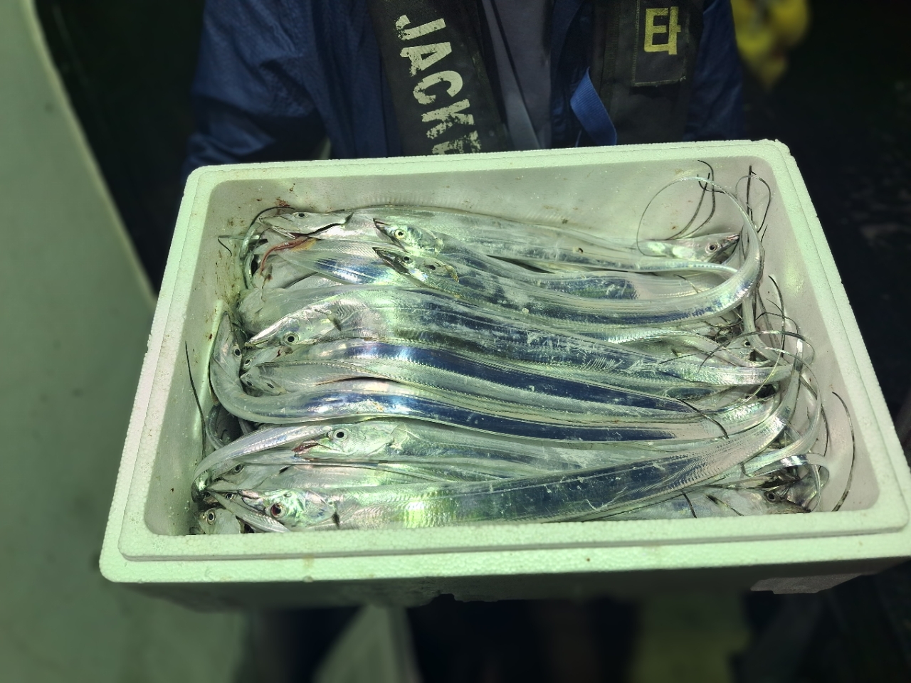 9월 4일 갈치 선상낚시 조황 현장 사진 7
