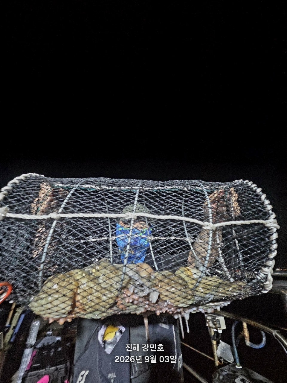 ����ڰ� �ø� �̹���