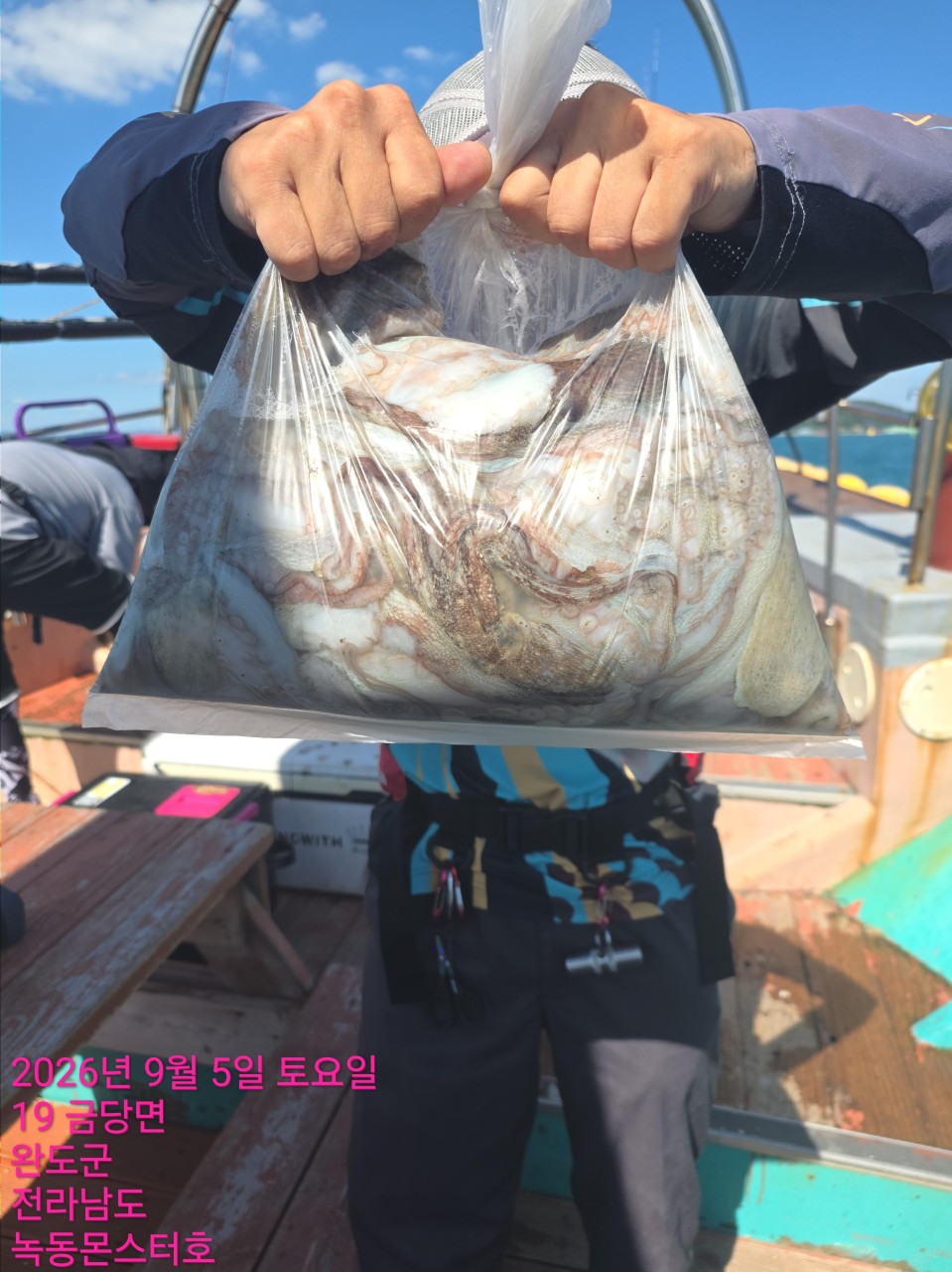 9월 5일 통영 문어 선상낚시 조황 현장 사진 8