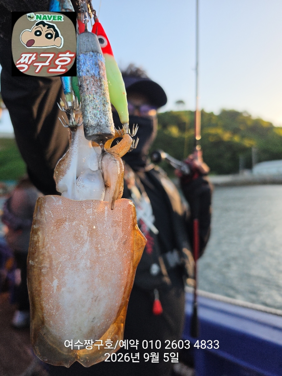 9월 5일 여수 문어 선상낚시 조황 현장 사진 8