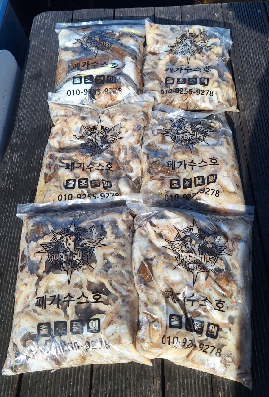 9월 5일 갑오징어 선상낚시 조황 현장 사진 10