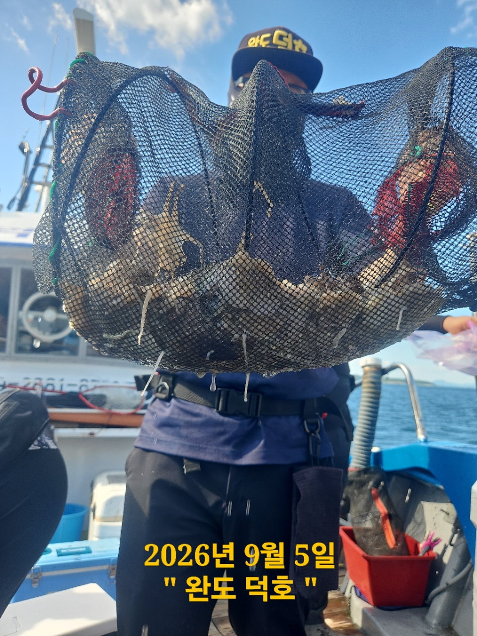 9월 5일 완도 주꾸미 선상낚시 조황 현장 사진 4
