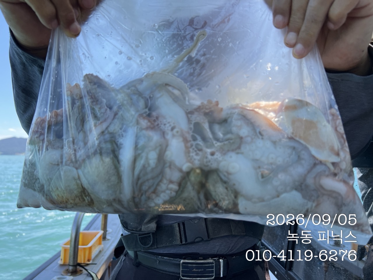 9월 5일 고흥 문어 선상낚시 조황 현장 사진 1