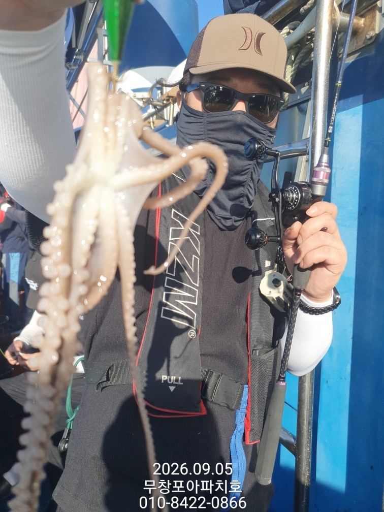 9월 5일 포항 주꾸미 선상낚시 조황 현장 사진 15
