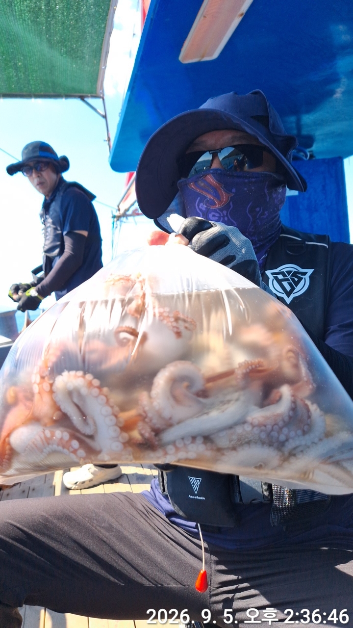 9월 5일 문어 선상낚시 조황 현장 사진 9