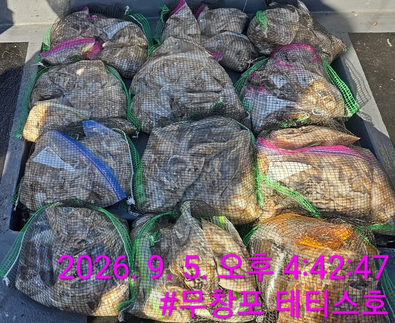 9월 5일 주꾸미 선상낚시 조황 현장 사진 2