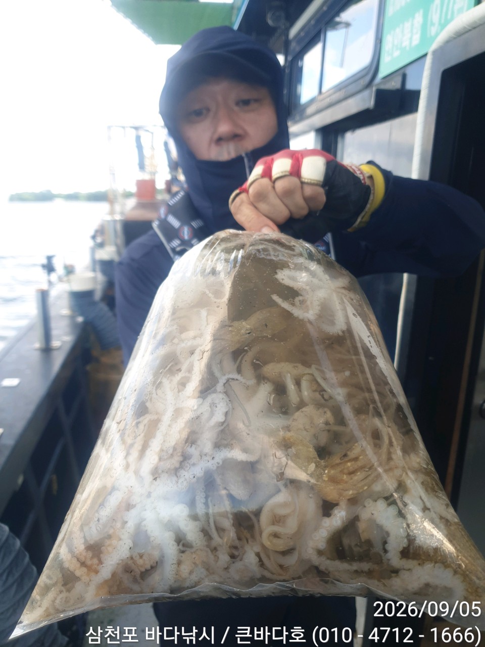 9월 5일 삼천포 문어 선상낚시 조황 현장 사진 20