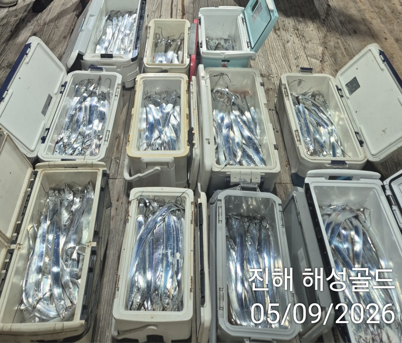 9월 5일 갈치 선상낚시 조황 현장 사진 16