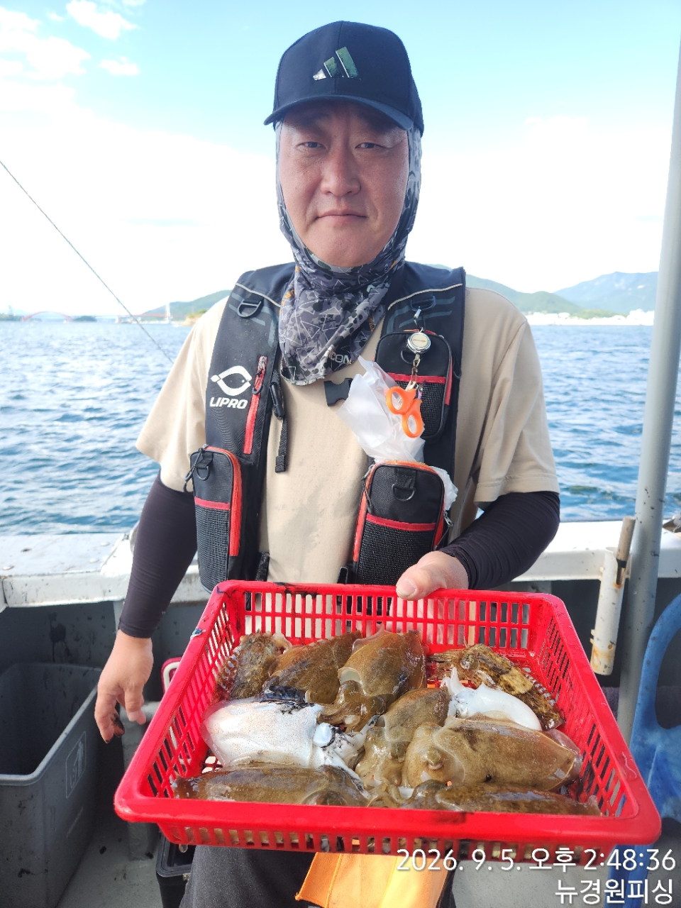 9월 5일 삼천포 갑오징어 선상낚시 조황 현장 사진 3