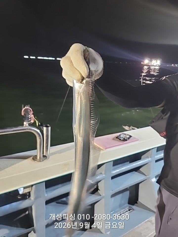 9월 5일 진해 갈치 선상낚시 조황 현장 사진 9