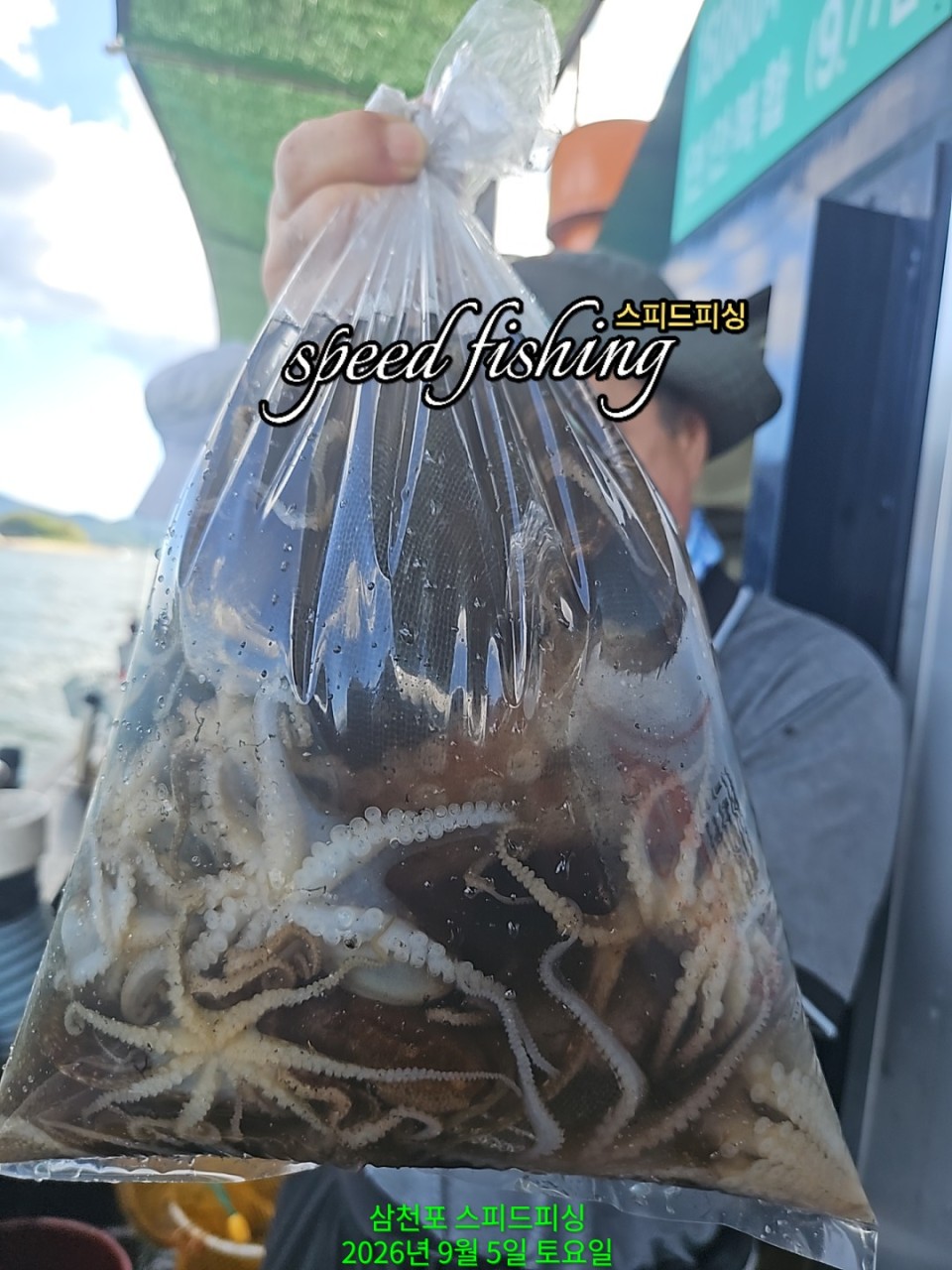 9월 5일 삼천포 문어 선상낚시 조황 현장 사진 5