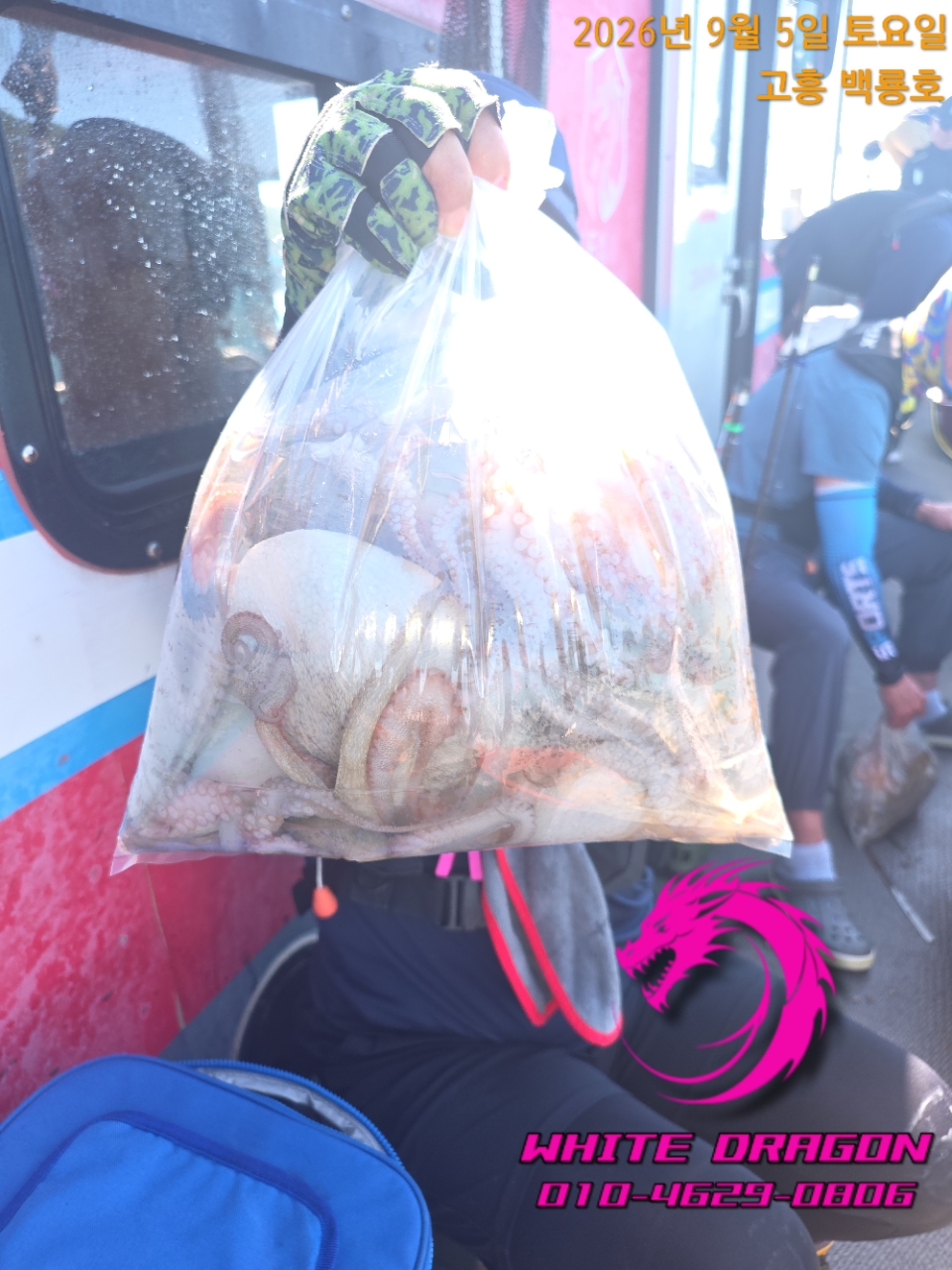 9월 5일 고흥 문어 선상낚시 조황 현장 사진 5