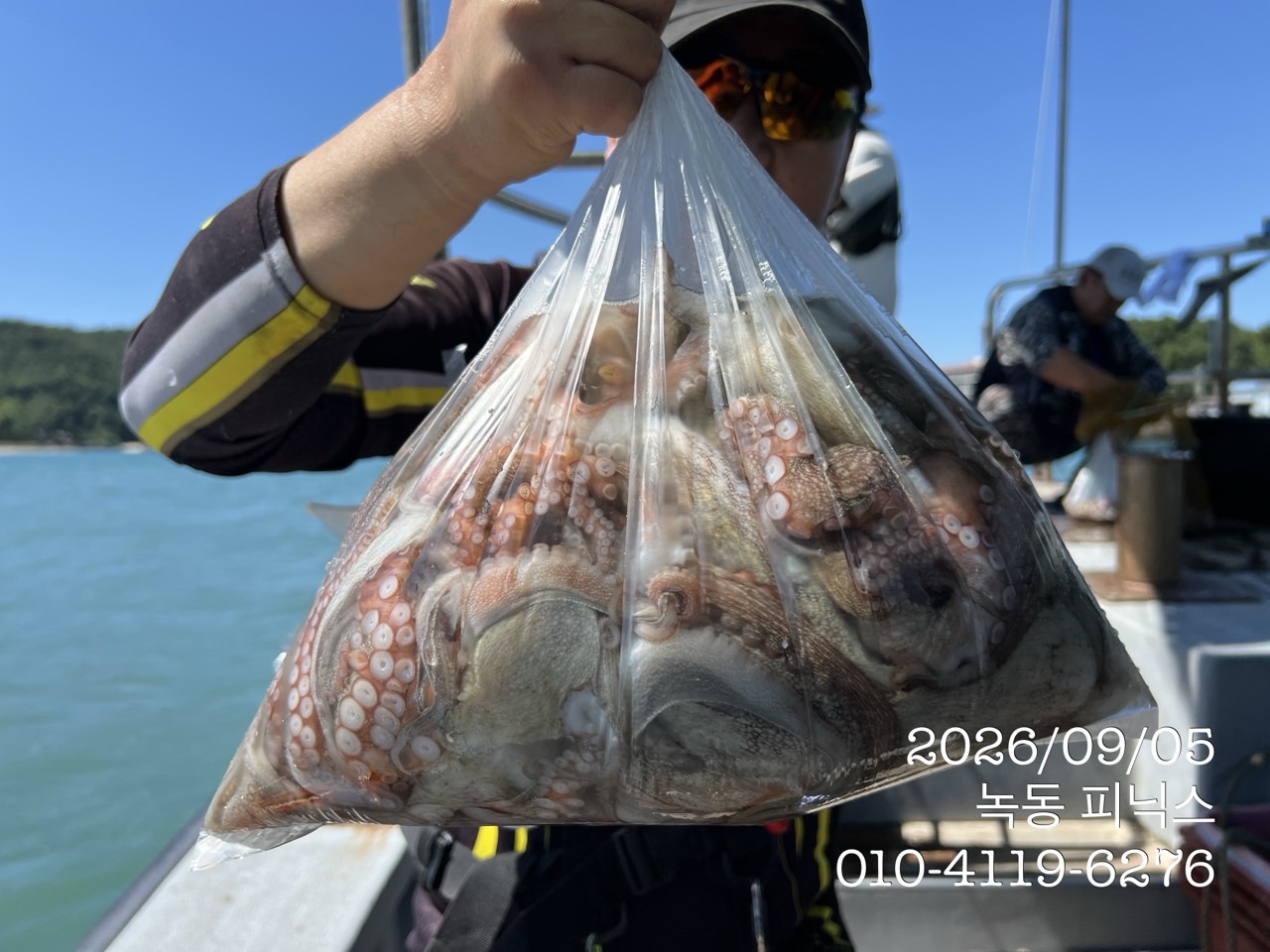 9월 5일 고흥 문어 선상낚시 조황 현장 사진 4