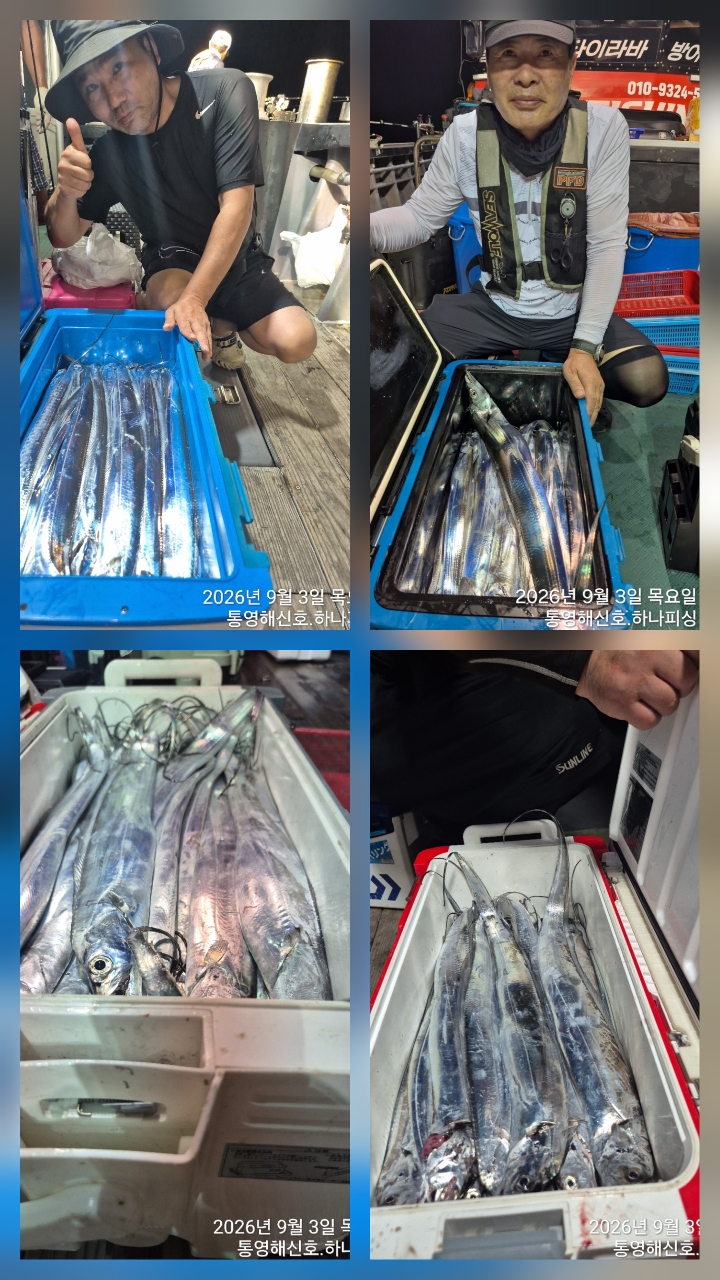 9월 5일 무늬오징어 선상낚시 조황 현장 사진 2