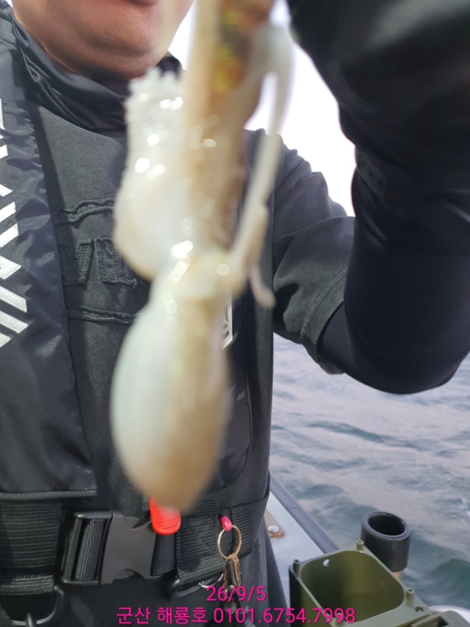 9월 5일 군산 주꾸미 선상낚시 조황 현장 사진 9