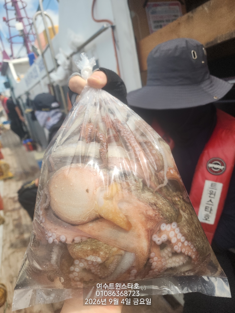 9월 7일 여수 문어 선상낚시 조황 현장 사진 10