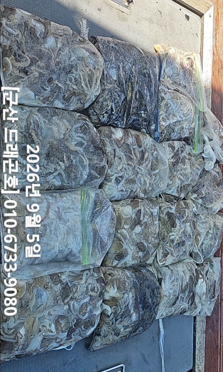 9월 5일 선상낚시 조황 현장 사진 2