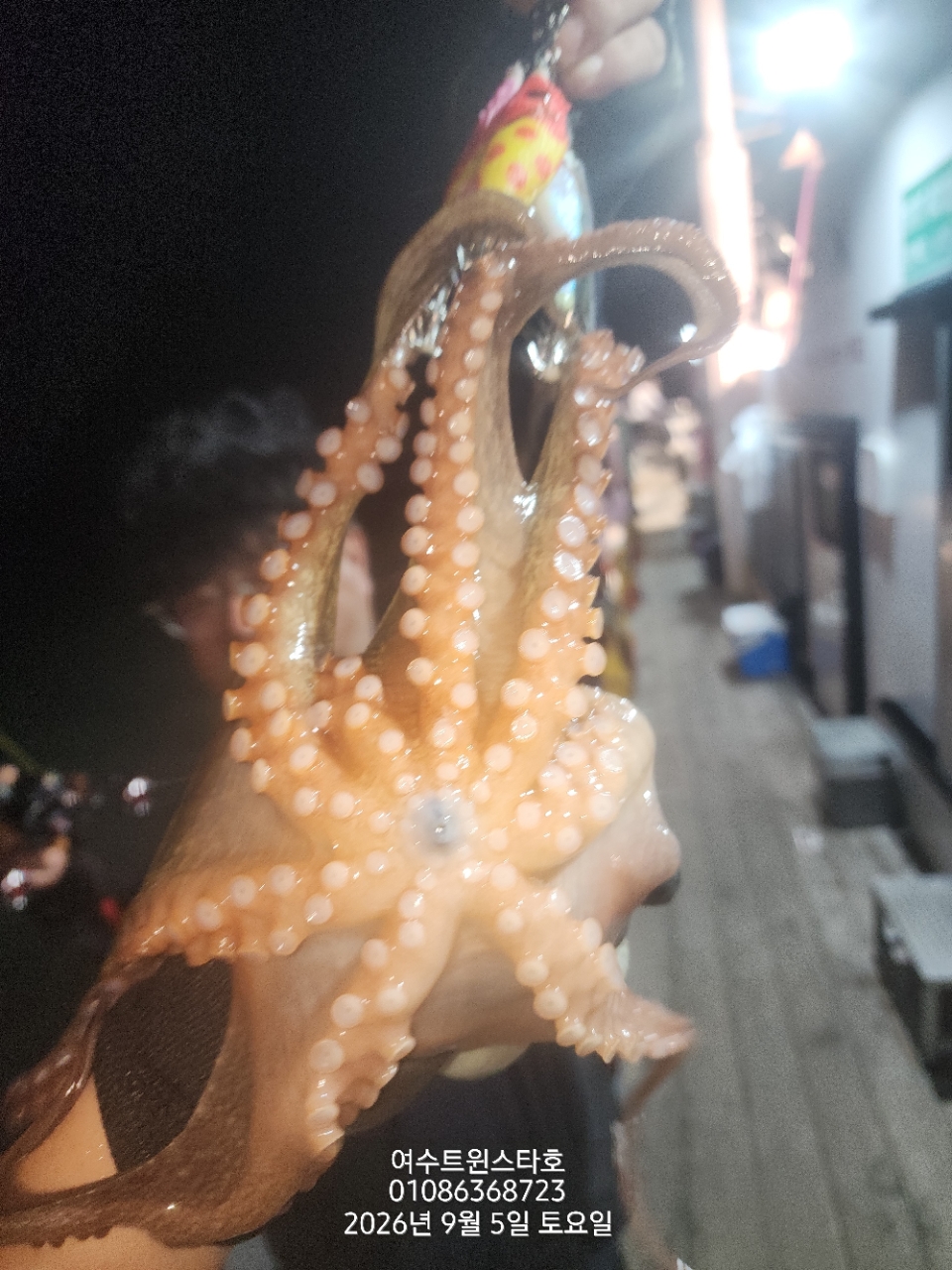 9월 7일 여수 문어 선상낚시 조황 현장 사진 30