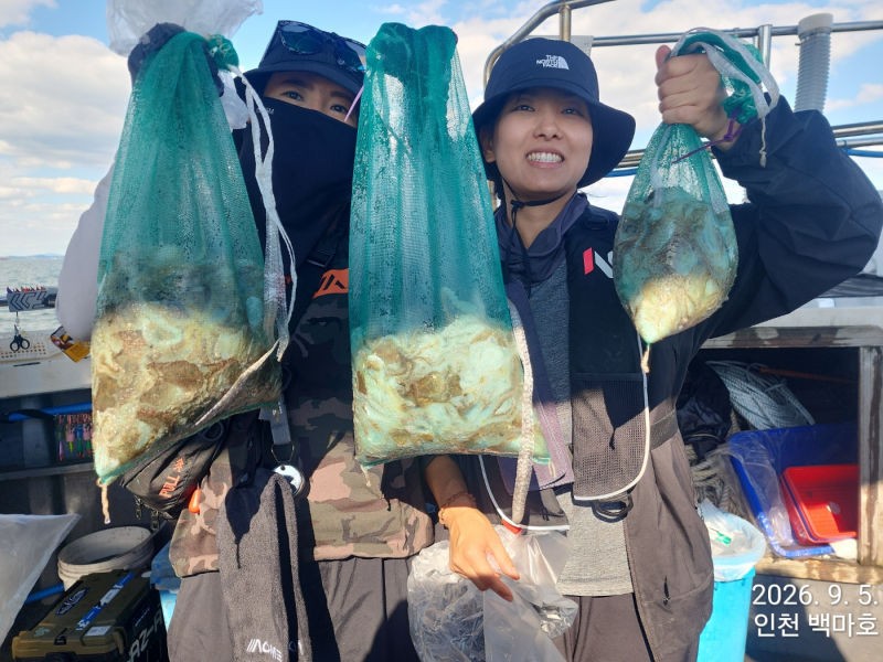 9월 5일 인천 갑오징어 선상낚시 조황 현장 사진 32