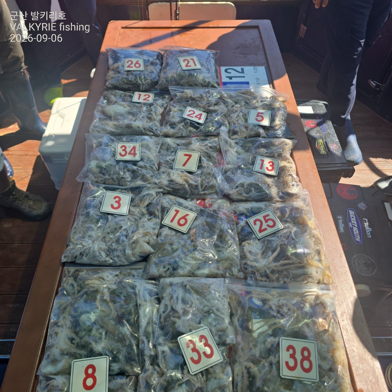9월 6일 군산 주꾸미 선상낚시 조황 현장 사진 3
